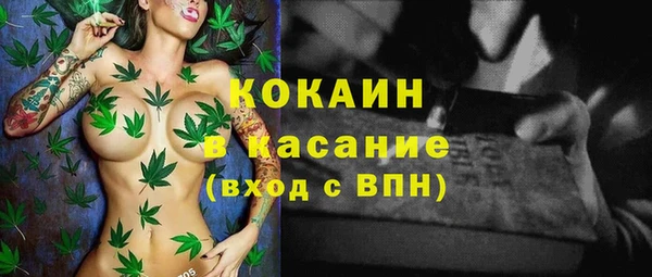 амф Алексин