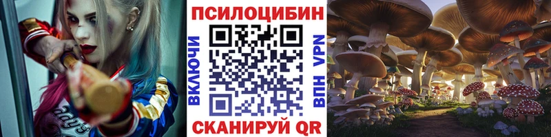 Галлюциногенные грибы GOLDEN TEACHER  купить наркотик  omg ССЫЛКА  Йошкар-Ола 